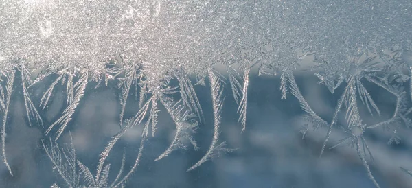 Fondo de la bandera de invierno. Ventana congelada en invierno. Patrón de heladas en la ventana. Flores heladas en un vaso — Foto de Stock