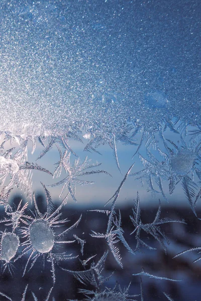 Fondo de invierno. Ventana congelada en invierno. Patrón de heladas en la ventana. Flores heladas en un vaso — Foto de Stock