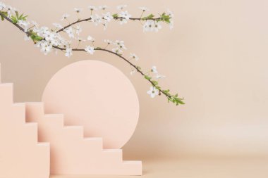 Ürün sunumu için yuvarlak podyum platformu ve pastel bej arka planda beyaz çiçekli bahar çiçekli ağaç dalı. Ön görünüm
