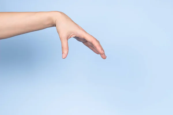 Handbewegung der Frau. Die weibliche Hand hält oder pflückt etwas Isoliertes auf hellblauem Hintergrund. Frontansicht — Stockfoto