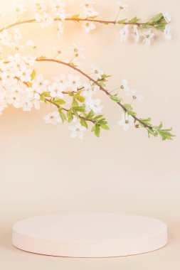 Ürün sunumu için yuvarlak geometrik podyum platformu ve pastel bej arka planda beyaz çiçeklerle çiçek açan bahar ağacı dalı. Ön görünüm