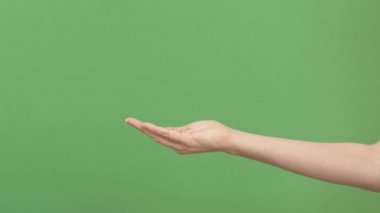Yeşil ekran krom arka planda kadın elinin yan görüntüsü. Esneyen ve içi boş avuç içi elini tutan bir kadın. Kapat, 4k görüntü