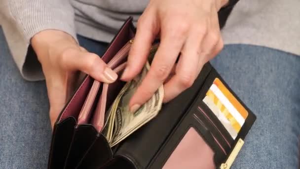 De l'argent. Des mains de femme comptant des billets en dollars dans un portefeuille. Paiement en espèces, épargne, paiement des factures, impôts, budget familial. Images 4k — Video