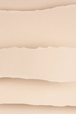 Kolaj arka planında yırtık kağıt var. Grunge, yırtık kenarlı kağıt kaplamalı pastel kağıt parçaları yırttı. Üst görünüm, alanı kopyala