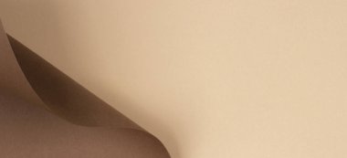 Soyut renk kağıtları geometri kompozisyonu bej ve kahverengi tonlu eğri çizgiler