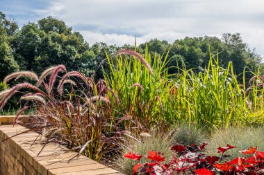 Modern design urban garden landscaping. Flower bed of perennial flowers with a yellow brick border near pedestrian pathway. City park in sunny day.