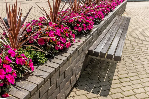 Modern design urban garden landscaping. Flower garden in high flower bed with brick border near pedestrian pathway in the city in sunny day.