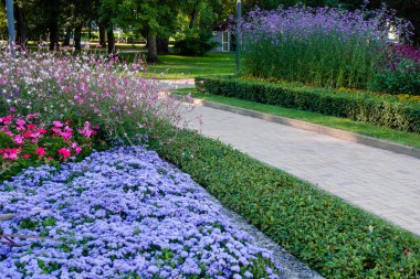Floral landscaping in city park. Lush flower bed with pink, purple, blue and flowers near pedestrian sidewalk. Modern mixed flower bed in sunny day.