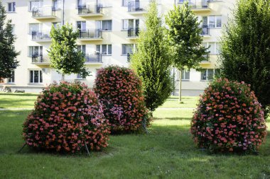 Flowers in the city. Red and pink flower pots near apartment house in street at sunny day. Urban decoration elements outside.