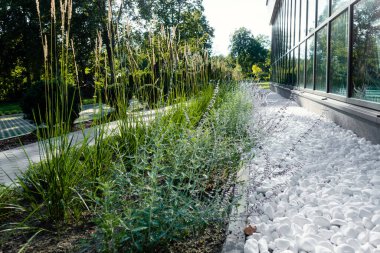 Modern design urban garden landscaping. Flower garden with beautiful flowers between pedestrian stone pathway and modern building in the city in sunny day.
