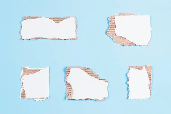 Pieces of white corrugated cardboard with torn edges arranged on light blue background. Top view, copy space
