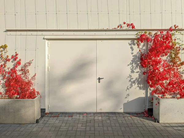 大きな鉄の二重葉のドア 晴れた秋の日に都市の園芸要素を持つ近代的な建物のファサードの門 — ストック写真