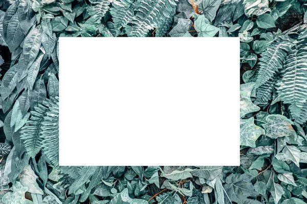 Faz Asneira Placa Publicidade Horizontal Branca Branco Outdoor Cartaz Placa — Fotografia de Stock