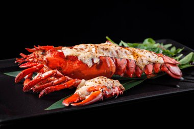 Büyük ıstakoz ızgara ıstakoz eti siyah bir arka planda siyah bir tabakta yakın plan.