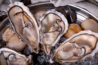 Buzlu balık restoranının soslu olduğu bir tabakta istiridye yemeye hazır.