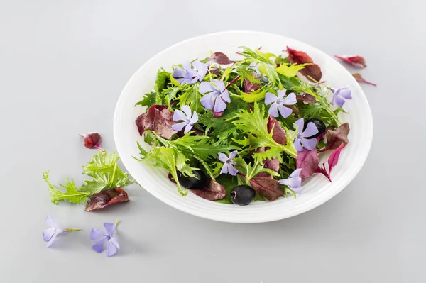 Bebek ıspanağıyla salatayı karıştır, mizuna salatası, boğa kanı filizi, açık gri arka planda yenilebilir çiçekler ve zeytinler, üst taraftaki manzara, yakın plan.