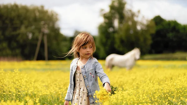 Little Girl Walks Field Yellow Flowers Looks Holding Bouquet Wildflowers — Fotografia de Stock