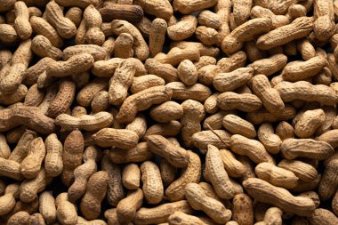 Kuru kabuksuz fıstıkların arka planı, yakın plan.