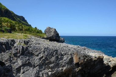 Bu fotoğraf, Dominik Cumhuriyeti 'nin muhteşem ormanlarından bir kayanın nasıl çıktığını gösteriyor. Palmiye ormanları ve diğer egzotik bitkiler kaya tırmanışı için idealdir. Karayipler 'in vahşi yerleri