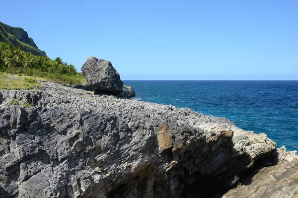 Bu fotoğraf, Dominik Cumhuriyeti 'nin muhteşem ormanlarından bir kayanın nasıl çıktığını gösteriyor. Palmiye ormanları ve diğer egzotik bitkiler kaya tırmanışı için idealdir. Karayipler 'in vahşi yerleri