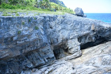 Bu fotoğraf, Dominik Cumhuriyeti 'nin muhteşem ormanlarından bir kayanın nasıl çıktığını gösteriyor. Palmiye ormanları ve diğer egzotik bitkiler kaya tırmanışı için idealdir. Karayipler 'in vahşi yerleri.