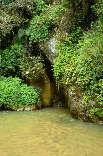 写真は野生のジャングルの中の洞窟を示しています 通行できない森林は あなたがこの場所に到達するのを防ぎました ここでは 水は巨大な滝から降りてきたとして泥だらけです 岩の上には様々な植物が見える — ストック写真
