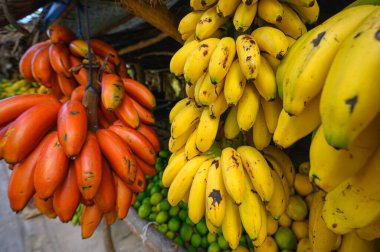 Yol kenarı meyve pazarı. Biraz tropikal meyve, portakal, limon, muz. Ağaçta farklı meyveler var. Egzotik meyveler dışarıda. Fotoğraf çeşitli muz türlerini gösterir: sarı, kırmızı, yeşil renkler.