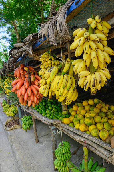 Fruit market by road. Tropical fruit bananas, tangerines, limes. Different fruits on tree. Exotic fruits are outdoor. Photo show variety types of bananas: yellow, red, green colors.