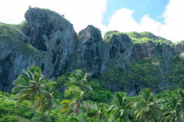 Bu fotoğraf, Dominik Cumhuriyeti 'nin muhteşem ormanlarından bir kayanın nasıl çıktığını gösteriyor. Palmiye ormanları ve diğer egzotik bitkiler kaya tırmanışı için idealdir. Karayipler 'in vahşi yerleri.