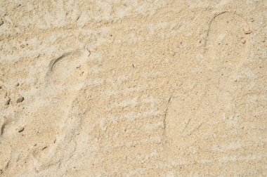 Fotoğraf beyaz kumdaki iki ayak izini gösteriyor. Dominik Cumhuriyeti 'nde bir plajda çekilmiş. Okyanusun alçak gelgitinden hemen sonra, kumun dokusu otantik..