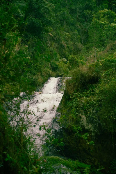 Şelalenin Fotoğrafı Dominik Cumhuriyeti Nde Yağmur Ormanlarında Çekildi Ormanın Sudaki — Stok fotoğraf
