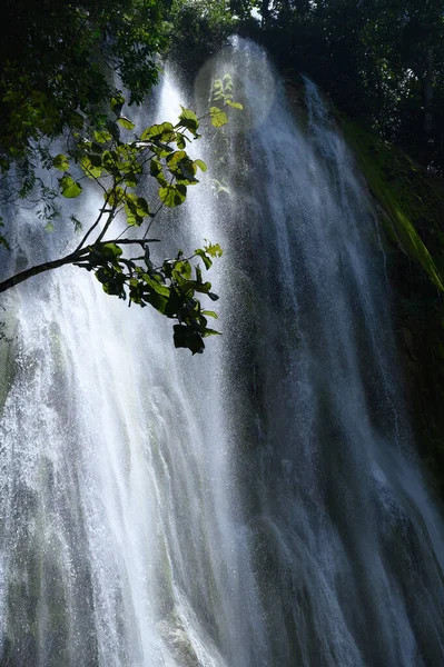 Photo Cascade Été Prise République Dominicaine Dans Forêt Tropicale Image — Photo