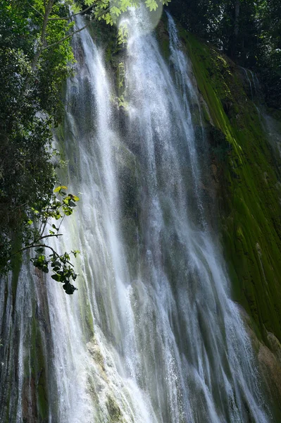 Photo Cascade Été Prise République Dominicaine Dans Forêt Tropicale Image — Photo