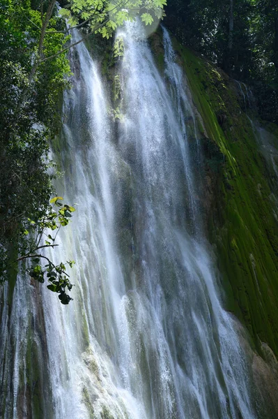 Photo Waterfall Taken Dominican Republic Rainforest Picture Jungle Water Impresses — Stock Photo, Image