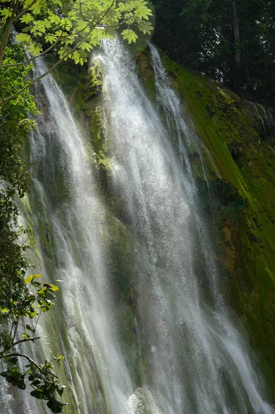 Photo Cascade Été Prise République Dominicaine Dans Forêt Tropicale Image — Photo