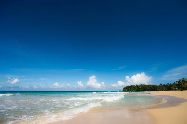 Vue Sur Plage Sable Exotique Mer Des Caraïbes Rivage Tropical Image En Vente