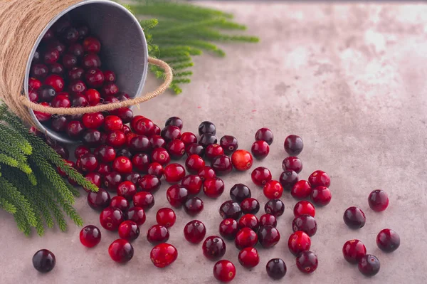 Cranberry Culinair Mand Met Bladeren Cranberry Mocktail Componenten Voor Het Rechtenvrije Stockfoto's