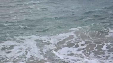 4K videosu tropikal ormanı gösteriyor. Mangrove çalılıkları kompozisyonun temelini oluşturur. Fotoğrafın arka planında okyanus görülebilir. Egzotik bir durgun su, tropik bölgelerin derinliklerine seslenir..