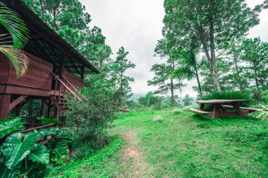 Ulusal parkta büyük bir bitki örtüsü olan bir kamp. Ormandaki dinlenme merkezi, dağlardaki tropikal ormanın çevresi. Çamlar ve palmiyeler, muhteşem manzara, geniş açılı fotoğraf..