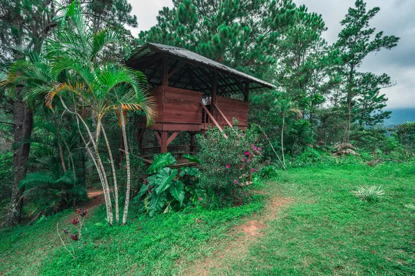 Dominik Cumhuriyeti 'ndeki kamp alanı mükemmel doğal manzara arasında. Ormandaki dinlenme merkezi, dağlardaki tropikal ormanın çevresi. Çamlar ve palmiyeler, muhteşem manzara, geniş açılı fotoğraf..