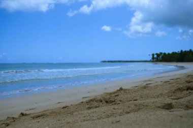 Dominik Cumhuriyeti 'nin ön planında kumlu bir plajın fotoğrafı. Bu resim Atlantik Okyanusu 'ndan gelen muhteşem kumları ve parlak mavi gökyüzünü açıkça gösteriyor, bir ufuk çizgisi oluşturuyor..