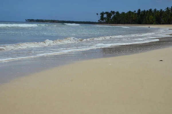Foto Uma Praia Areia Primeiro Plano República Dominicana Imagem Mostra — Fotografia de Stock