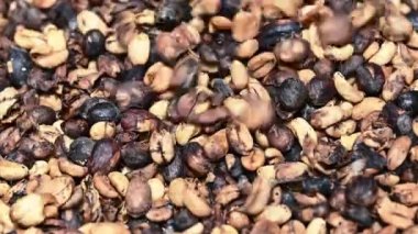 Kafe macchiatto desenli. Kahve çekirdekleri. Kumaş üzerinde kurutulurken soğuk kahve. Yeşil kahve Nespresso Cappuccino ve Lungo içeceği için hazırlanıyor..