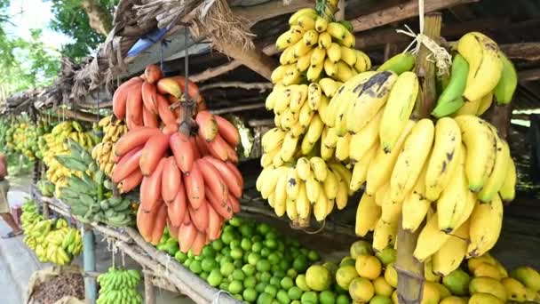 Exotic Fruits Market Road Differents Tropical Fruits Buy Dominican Republic — стокове відео