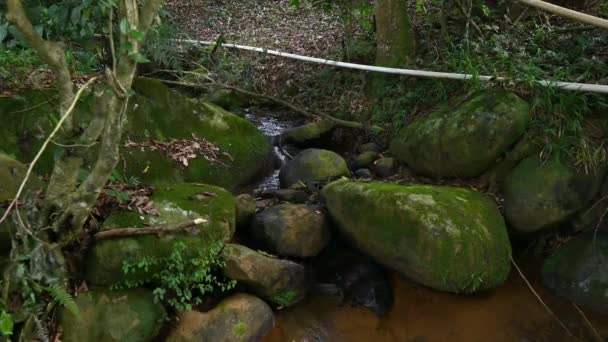 Corredor Montanha Entre Rochas Enormes Weald Corrente Montanha Morass Com — Vídeo de Stock