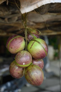 Fotoğraf birkaç mor tropikal meyve gösteriyor. Bir meyve kesilerek açılır ve içi görünür hale gelir. Caimito meyvesi Dominik Cumhuriyeti ormanına özgüdür..