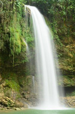Kuzey Amerika 'daki deniz akıntısı oldukça vahşi. Dağ nehri ve şelale HD. Muazzam temiz su akışı. Altında mükemmel bir su aynası var. Açık alan tropikal yeşilliklerle dolu..