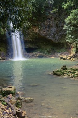 Kuzey Amerika 'daki deniz akıntısı oldukça vahşi. Dağ nehri şelalesi HD. Fotoğraf büyük temiz su akışını gösteriyor. Altında mükemmel bir su aynası var. Açık alan tropikal yeşilliklerle dolu..