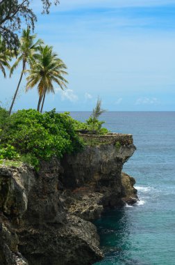 Fotoğraf Karayip Denizi 'ndeki dik bir uçurumu gösteriyor. Okyanus suyu berrak ve mavi. Mükemmel eğitimli mağara. Yeşil bitkiler kayalarda yetişir. Güzel bir deniz manzarası açılıyor.