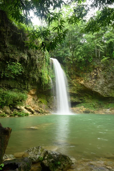 Wildlife Monument Salto Socoa Aan Noordkust Dominicaanse Republiek Bergrivier Waterval Stockfoto